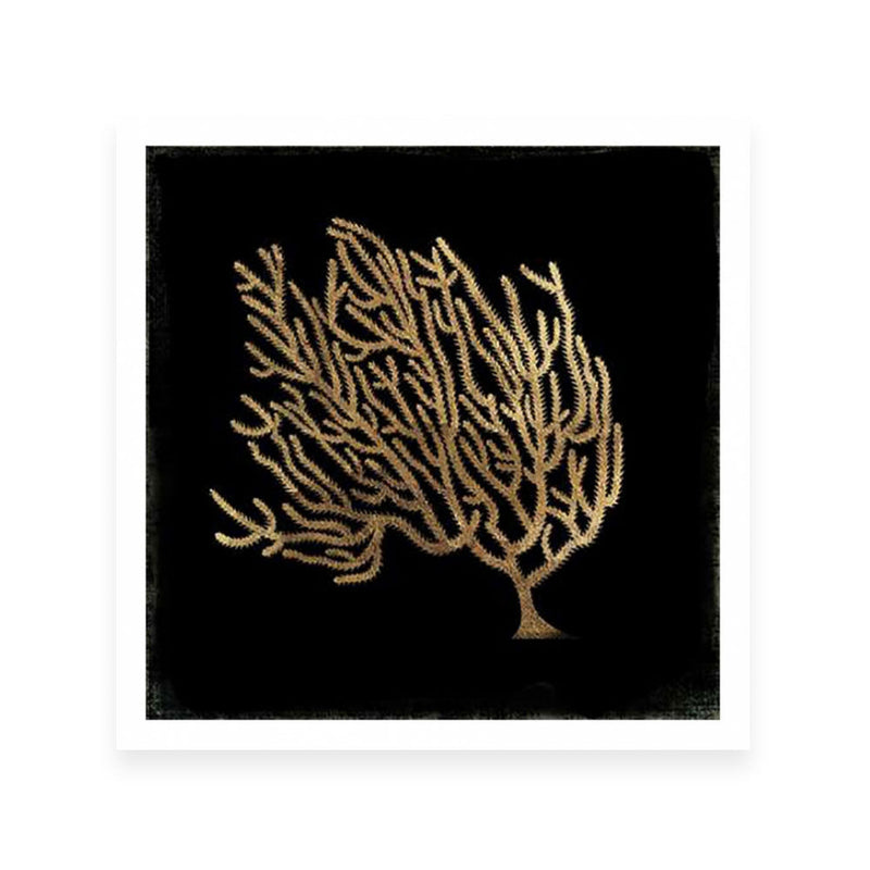 Gold Coral II