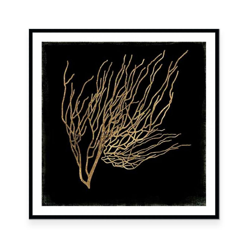 Gold Coral I