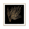 Gold Coral I