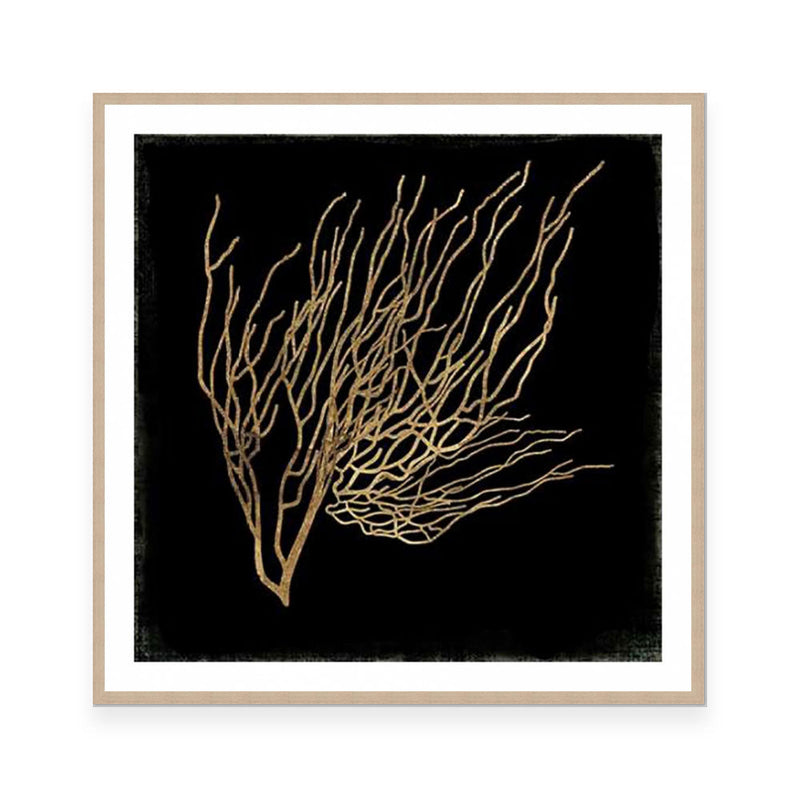 Gold Coral I