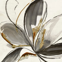 Grey Glory II