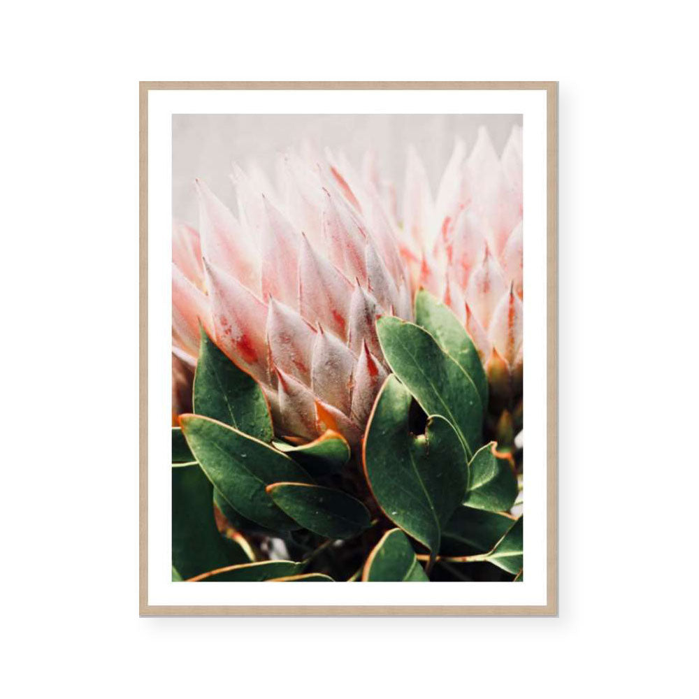 Holly | Katie Clulow