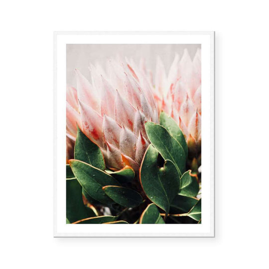 Holly | Katie Clulow