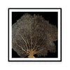 Honey Comb Coral II
