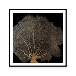 Honey Comb Coral II