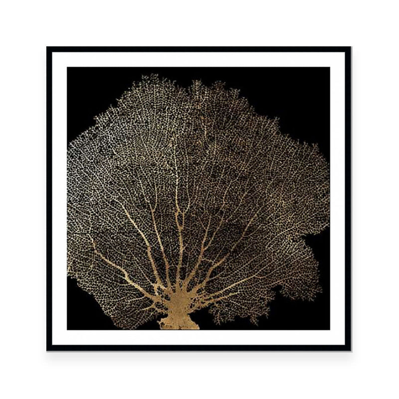 Honey Comb Coral II