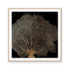 Honey Comb Coral II