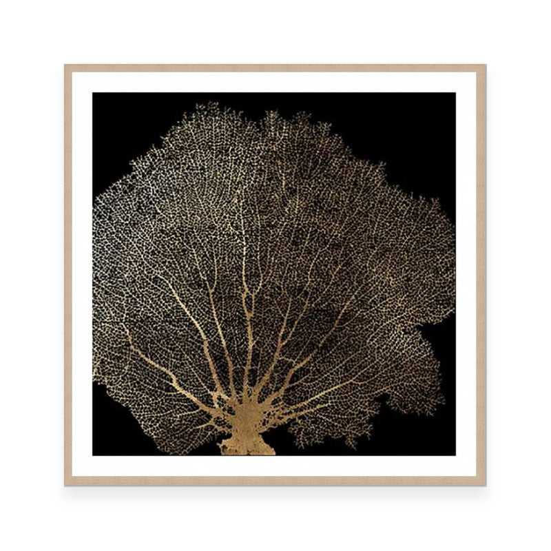 Honey Comb Coral II