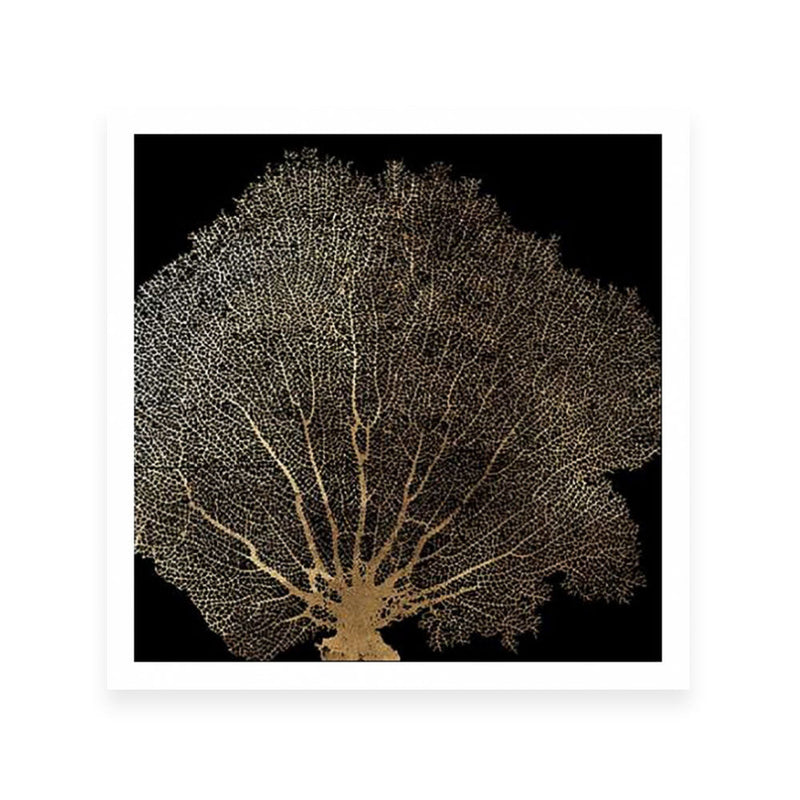 Honey Comb Coral II