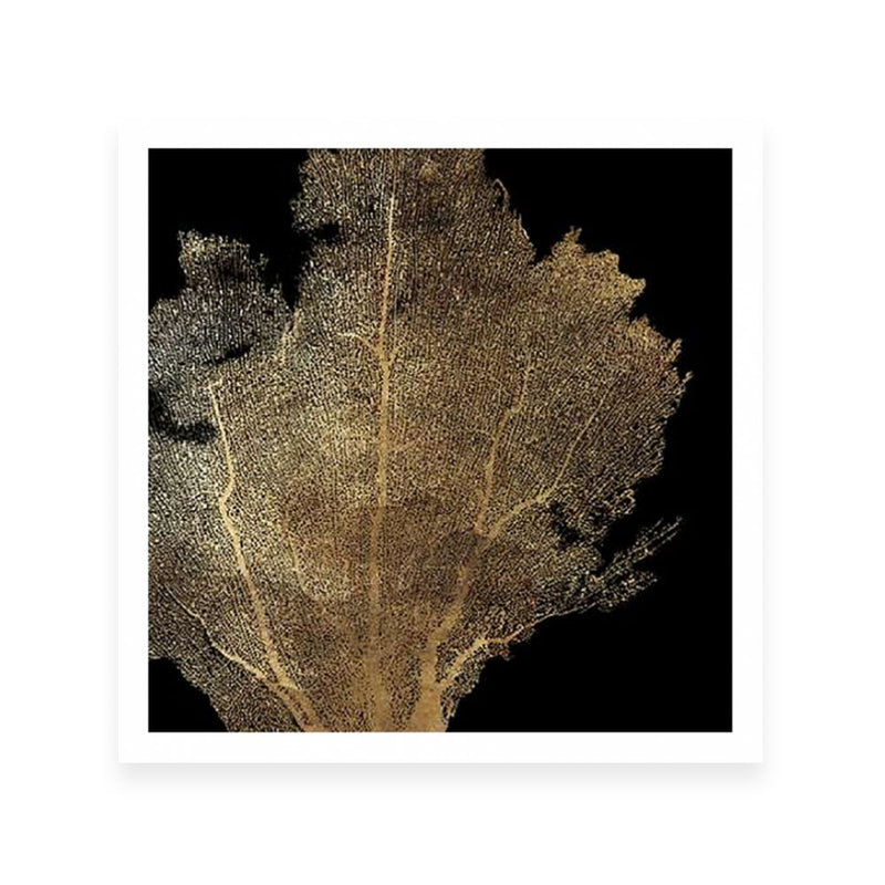 Honey Comb Coral I