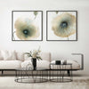 Iridescent Poppy II
