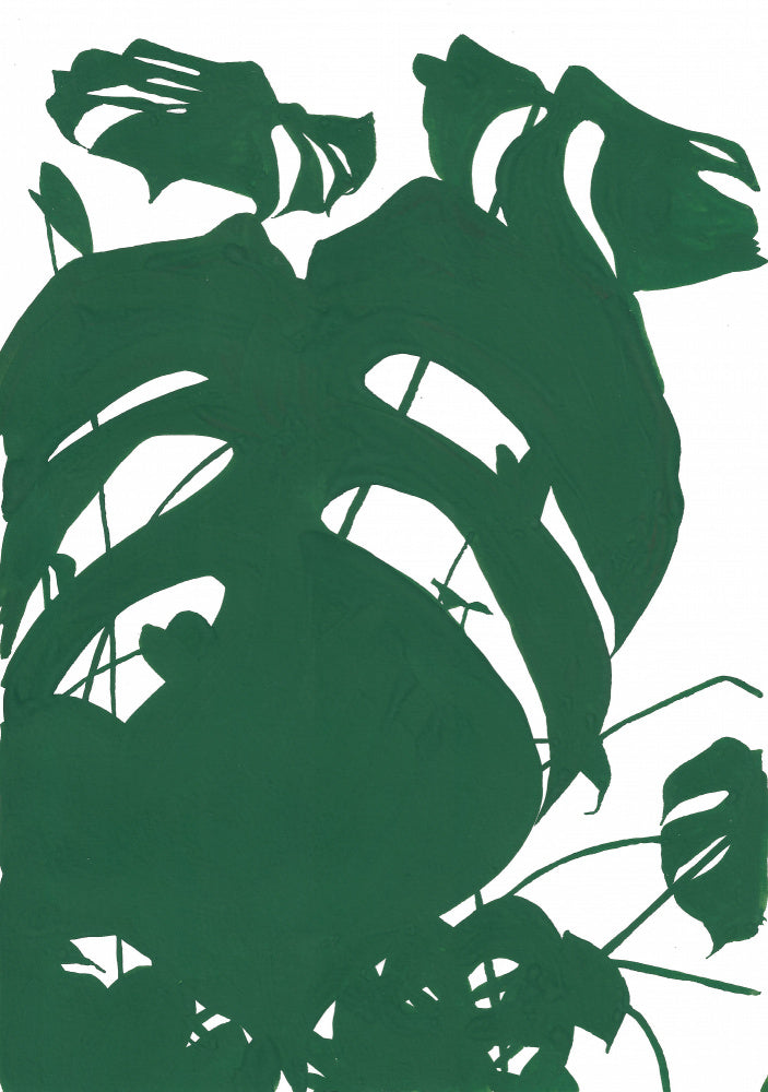 Monstera No.1