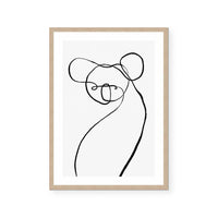 Koala for WIRES