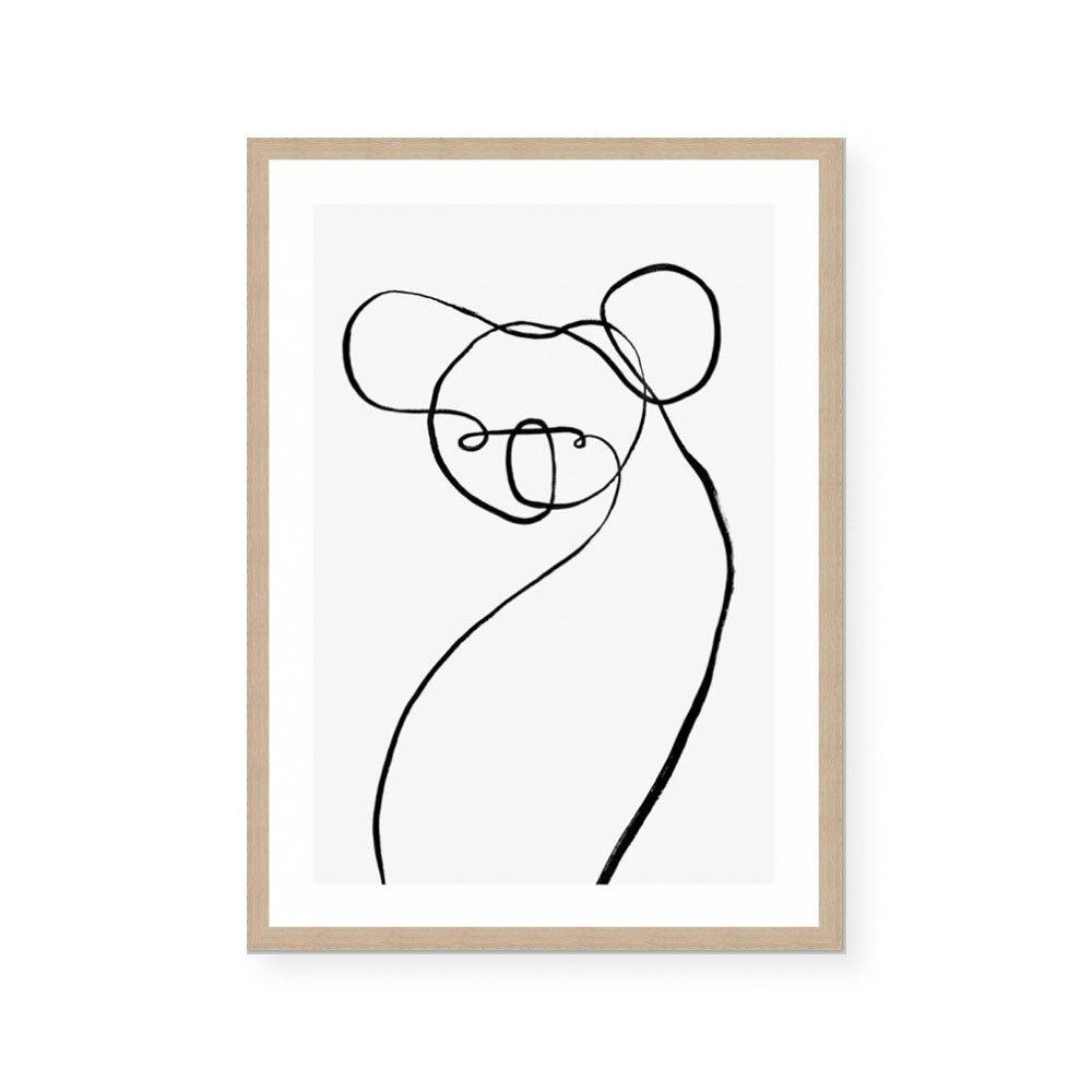 Koala for WIRES