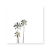 LA Days II