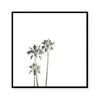 LA Days II