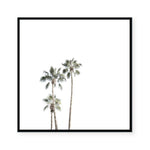 LA Days II