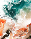 Life | Limited Edition Art Print | David Bottrell