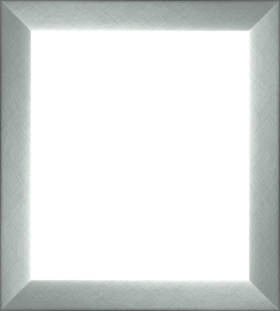 Silver Frame