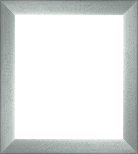 Silver Frame