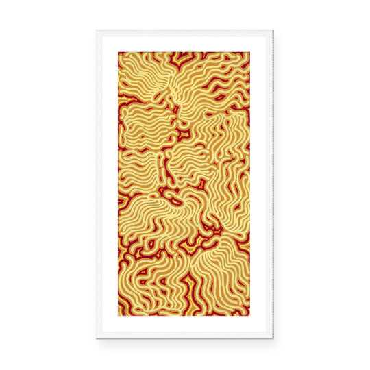 Majardi Jukurrpa (Hairstring Belt/Skirt or Tassel Dreaming) – Mina Mina No.3