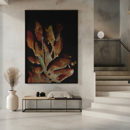Midnight Coral | Framed Canvas