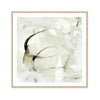 Moderna | Square