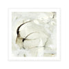 Moderna | Square