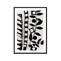 Monochrome Botanical Patterns II
