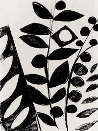 Monochrome Botanical Patterns I