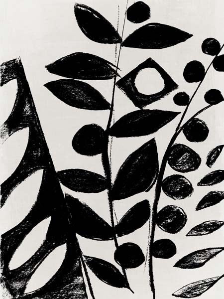 Monochrome Botanical Patterns I