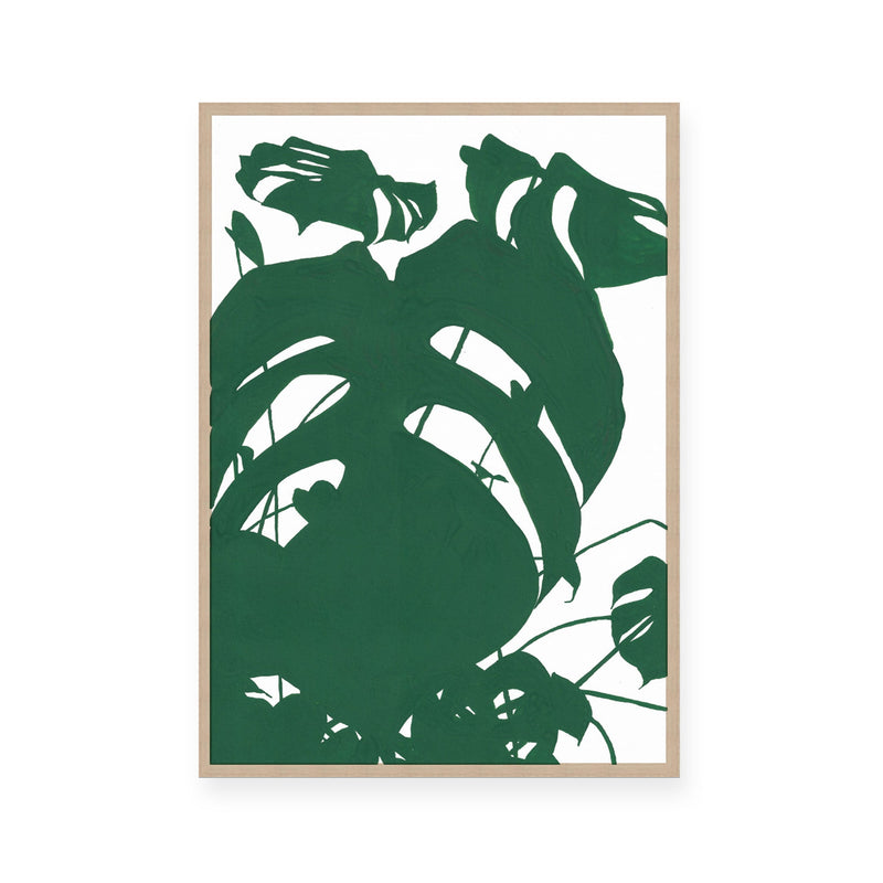 Monstera No.1