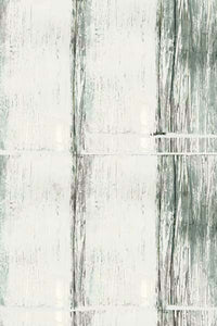 Muted Reflection II