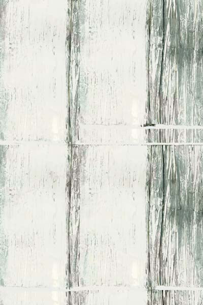 Muted Reflection II