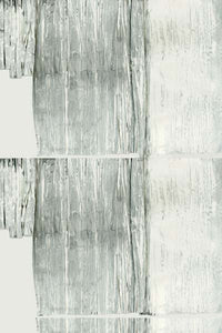 Muted Reflection I