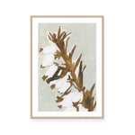 Naïve Floral Silhouette I