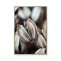 Nature's Embrace | Framed Canvas