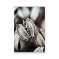 Nature's Embrace | Framed Canvas