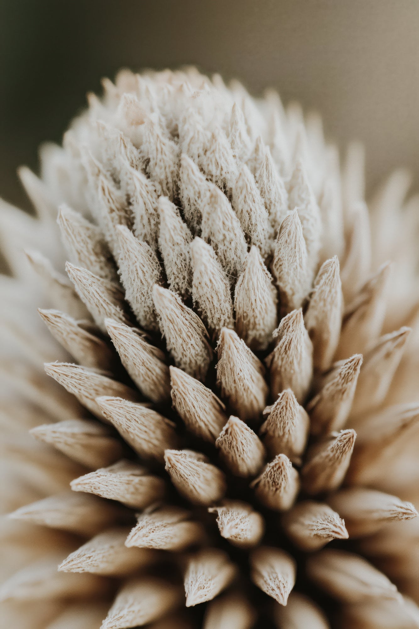 Nature's Geometry