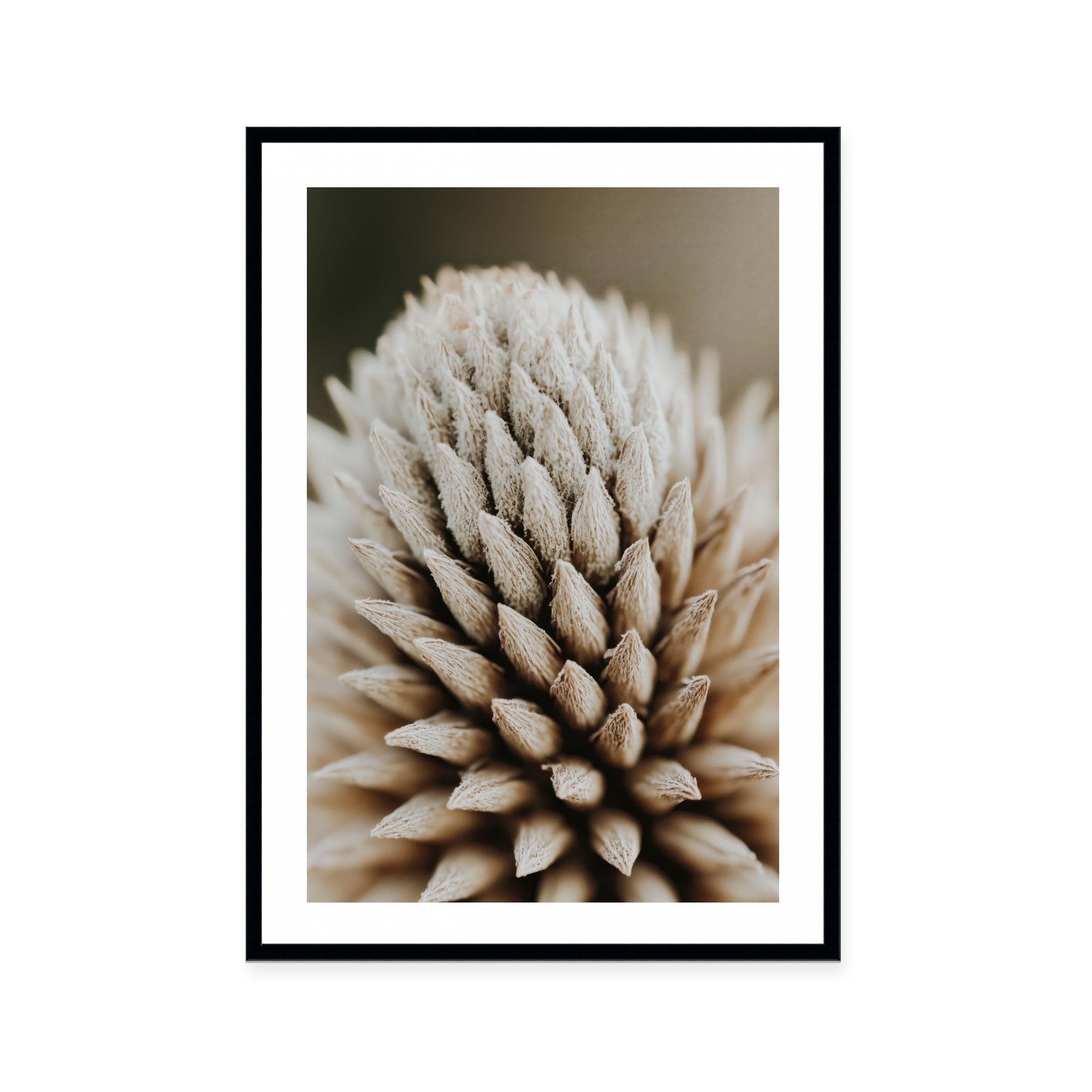 Nature's Geometry