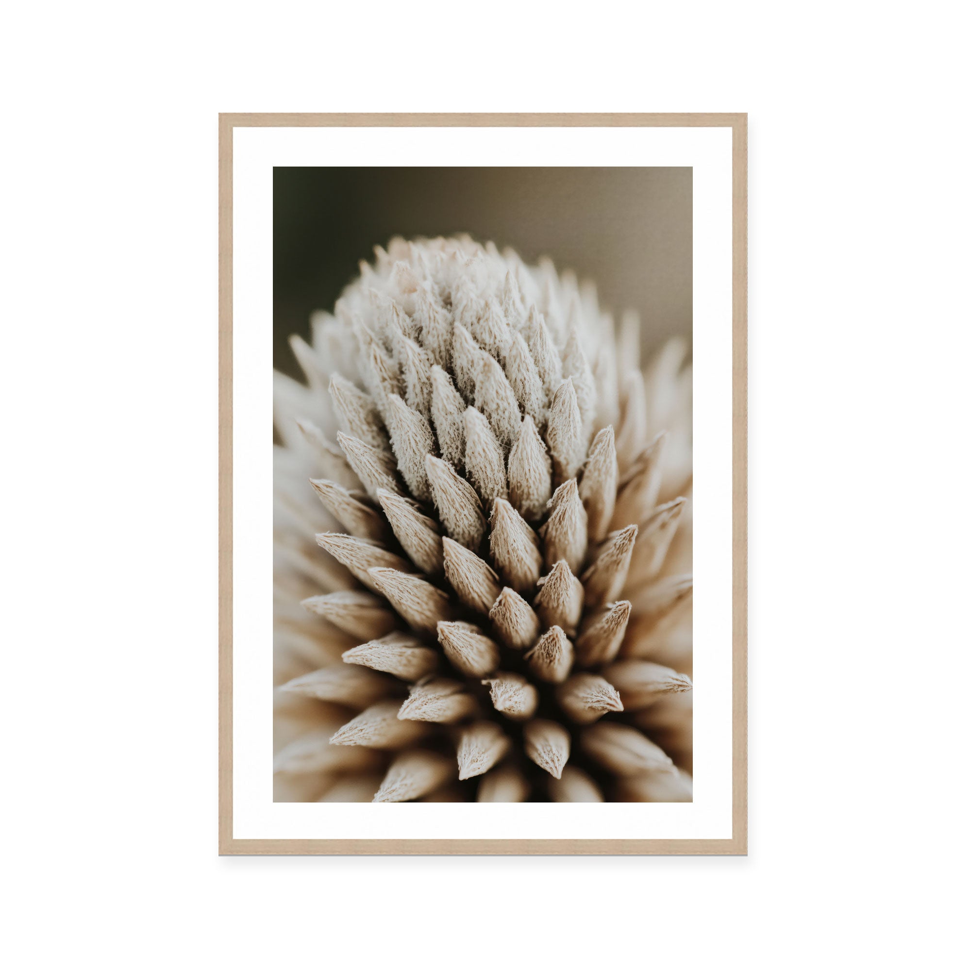 Nature's Geometry