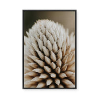 Nature's Geometry | Framed Canvas