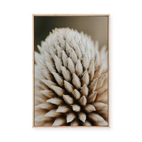 Nature's Geometry | Framed Canvas