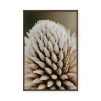 Nature's Geometry | Framed Canvas