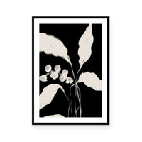 New Growth II
