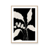 New Growth II