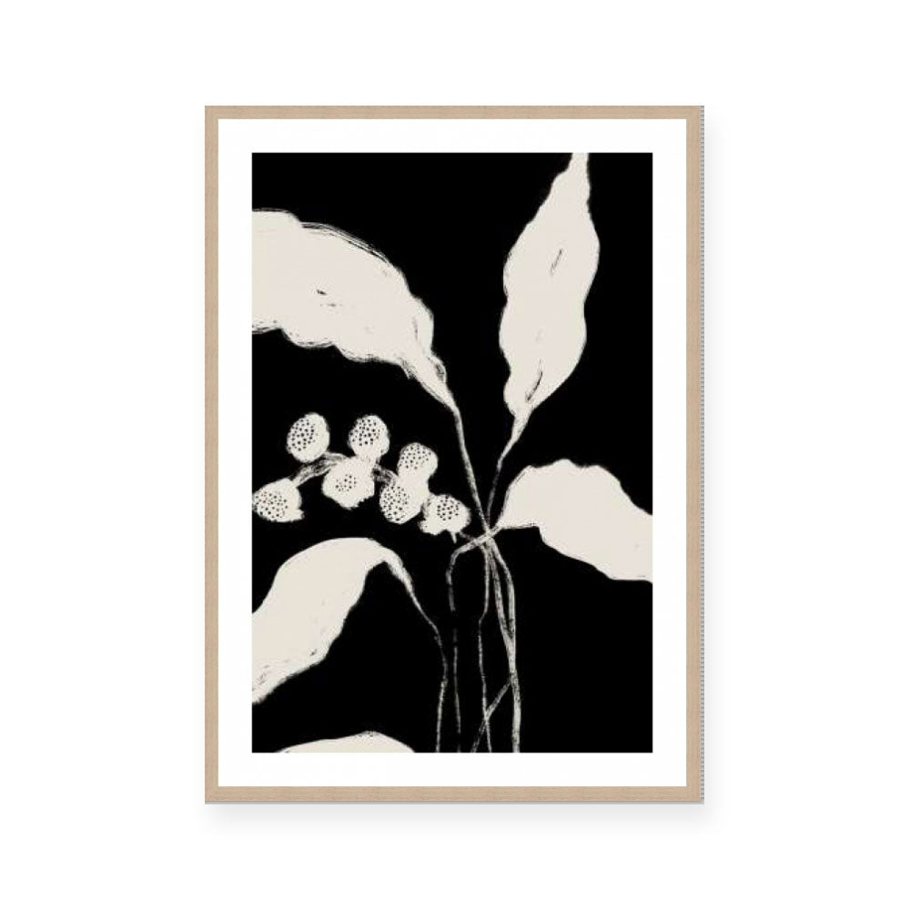 New Growth II