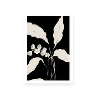 New Growth II