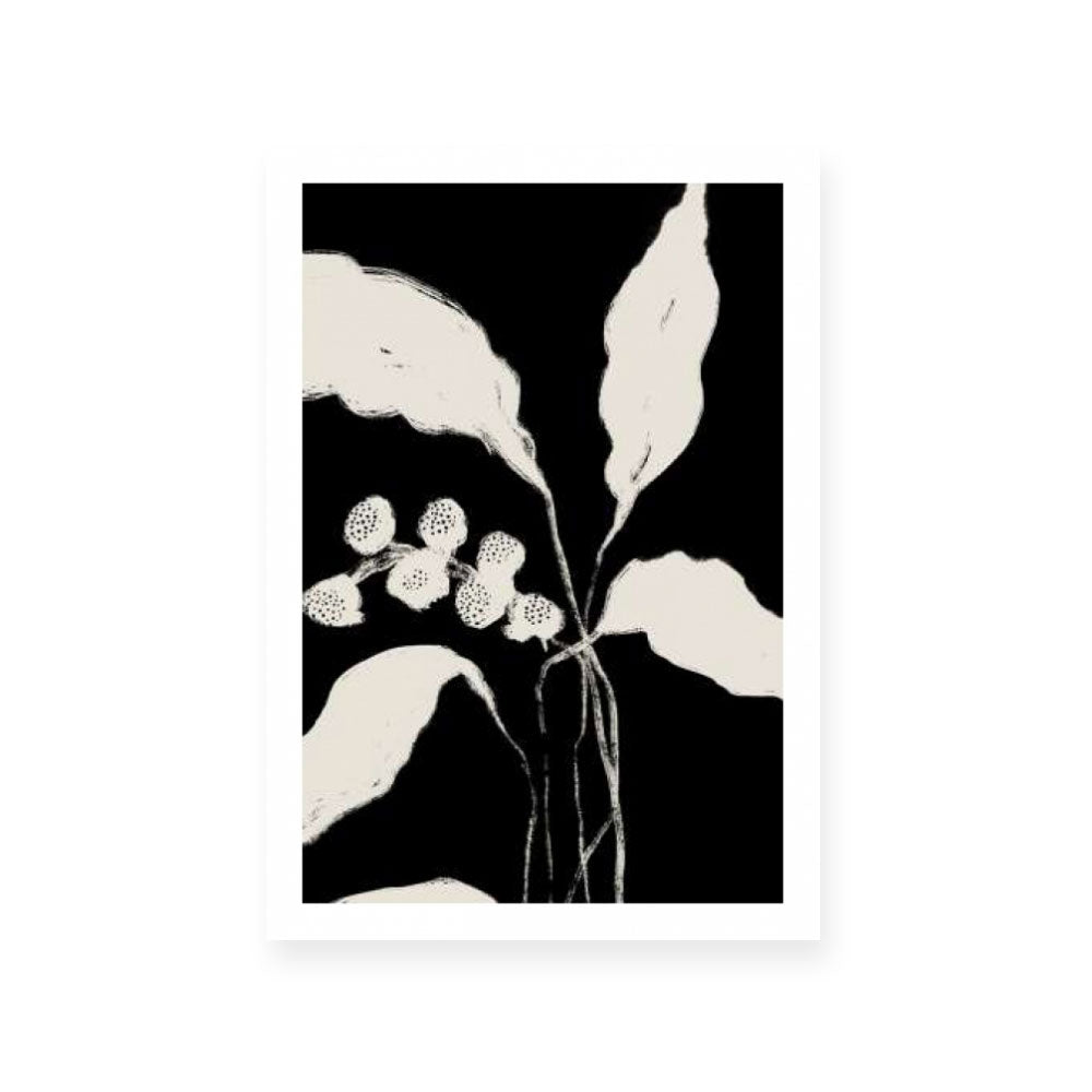 New Growth II