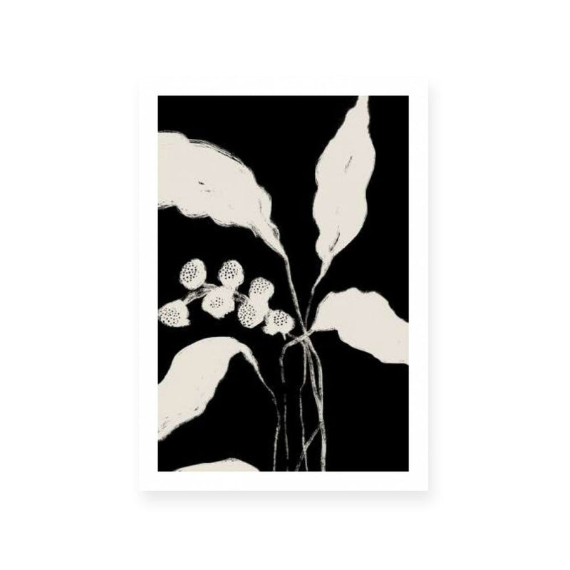 New Growth II